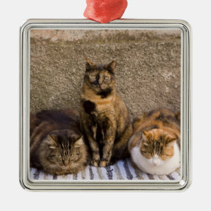 Ornement Métallique Italie, Cinque Terre, Vernazza. Trois chats