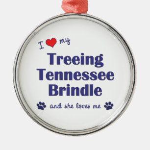 Ornement Métallique J'aime mon Treeing Tennessee Brindle (le chien