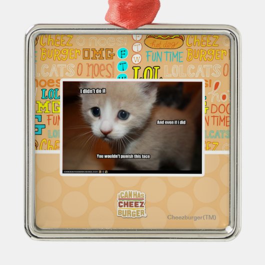 Ornement Métallique Je ne l'ai pas fait (Devant)