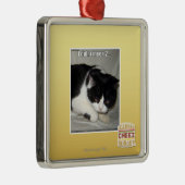 Ornement Métallique Je pas meen 2 (Droite)