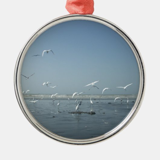 Ornement Métallique Je peux voler (Devant)