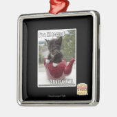 Ornement Métallique Je suis un lil Teepot (Gauche)