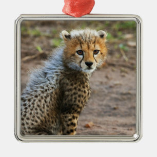Ornement Métallique Jeune guépard Acinonyx Jubatus)