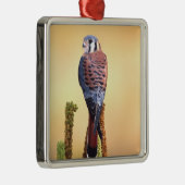 Ornement Métallique Kestrel, Falco sparverius, Native de US & Canada (Droite)