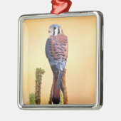 Ornement Métallique Kestrel, Falco sparverius, Native de US & Canada (Gauche)