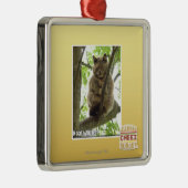 Ornement Métallique Koala Kitteh (Droite)