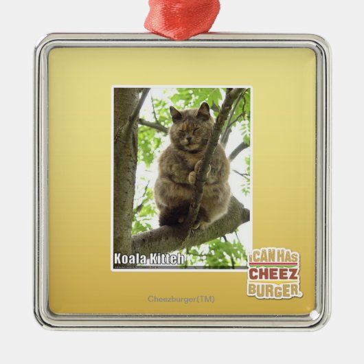 Ornement Métallique Koala Kitteh (Devant)