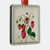 Ornement Métallique La fraise de Roseberry, gravée par Watte (Droite)