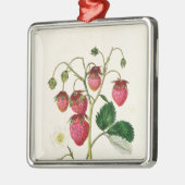 Ornement Métallique La fraise de Roseberry, gravée par Watte (Gauche)