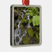 Ornement Métallique La mousse a couvert des roches d'eau et de (Droite)