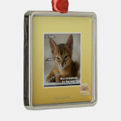 Ornement Métallique La plume est morte (Droite)