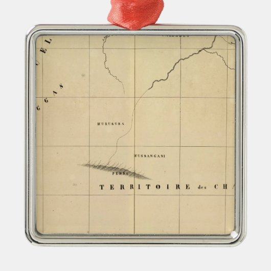 Ornement Métallique La Zambie, Afrique 45 (Devant)