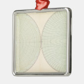 Ornement Métallique L'atmosphère de polarisation (Gauche)