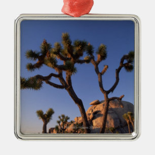 Ornement Métallique Le cactus et le casquette de Cholla basculent,