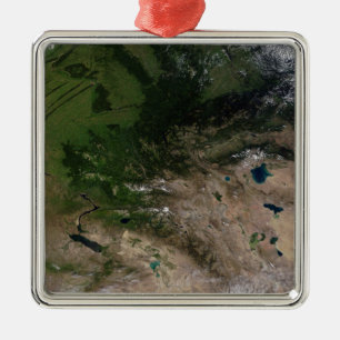 Ornement Métallique Le changement de la végétation