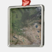 Ornement Métallique Le changement de végétation (Gauche)