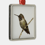 Ornement Métallique Le colibri d'Anna (Droite)