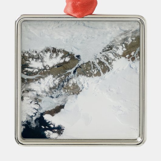 Ornement Métallique Le dégel estival (Devant)