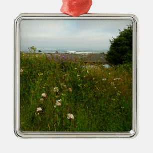 Ornement Métallique Le sentier de la boucle Yurok au parc national Red