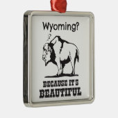 Ornement Métallique Le Wyoming ? Parce que c'est beau (Droite)