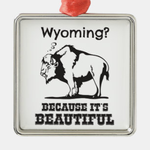 Ornement Métallique Le Wyoming ? Parce que c'est beau