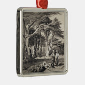 Ornement Métallique Les cèdres du Liban, gravés par Freeman (sépia (Droite)