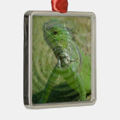 Ornement Métallique L'iguane vert (Droite)
