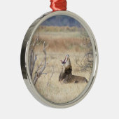 Ornement Métallique Lion de Yawning (Droite)