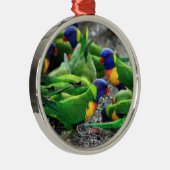Ornement Métallique Lorikeet (Droite)