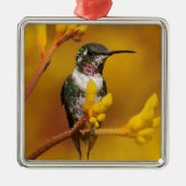 Ornement Métallique Lueur d'or (Devant)