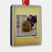 Ornement Métallique Main d'ur de remoov de PLZ (Droite)