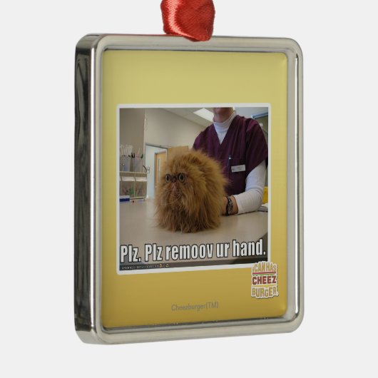 Ornement Métallique Main d'ur de remoov de PLZ (Droite)