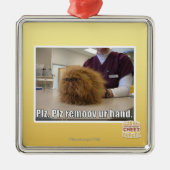 Ornement Métallique Main d'ur de remoov de PLZ (Devant)