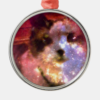 Ornement Métallique minou de borealis de l'aurore de raquette