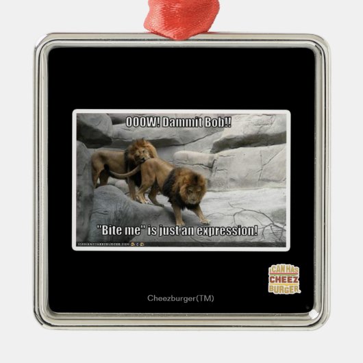 Ornement Métallique Mordez-moi est juste une expression ! (Devant)