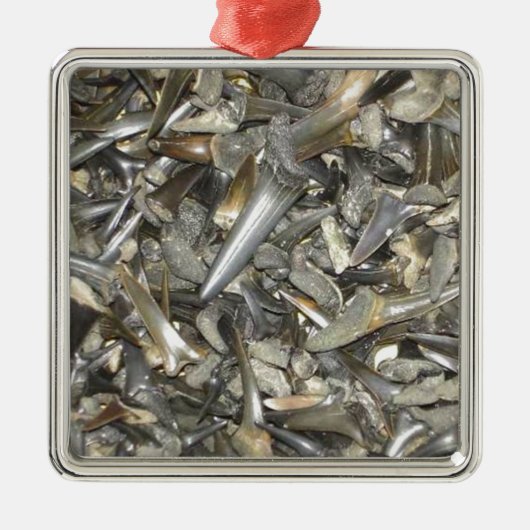 Ornement Métallique Motif fossile de dents de requin (Devant)