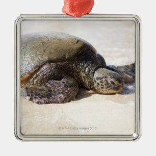 Ornement Métallique Mydas de Chelonia de tortue de mer verte) sur la