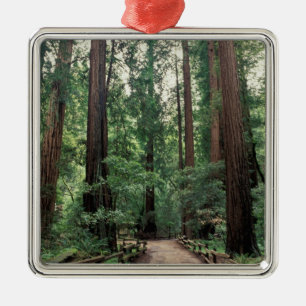 Ornement Métallique NA, États-Unis, Californie, comté de Marin, Muir W