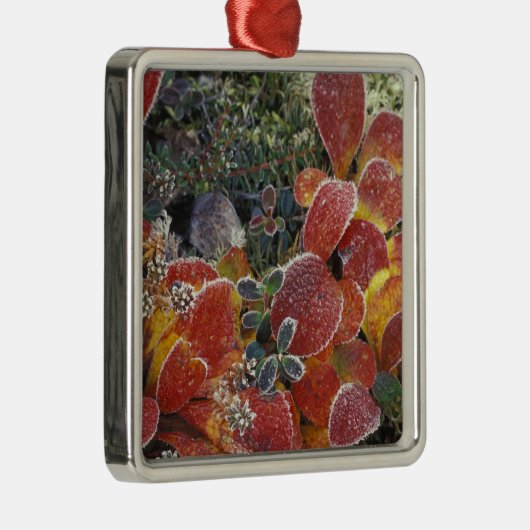 Ornement Métallique NA, USA, Alaska. Parc national de Denali. Bearberr (Droite)