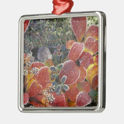 Ornement Métallique NA, USA, Alaska. Parc national de Denali. Bearberr (Gauche)