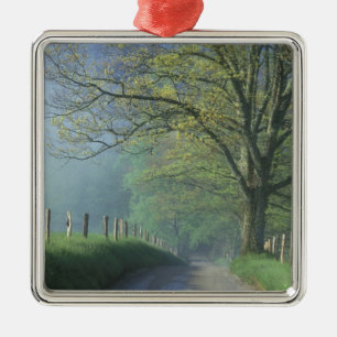 Ornement Métallique NA, USA, Tennessee, Cades Cove, Super Smoke