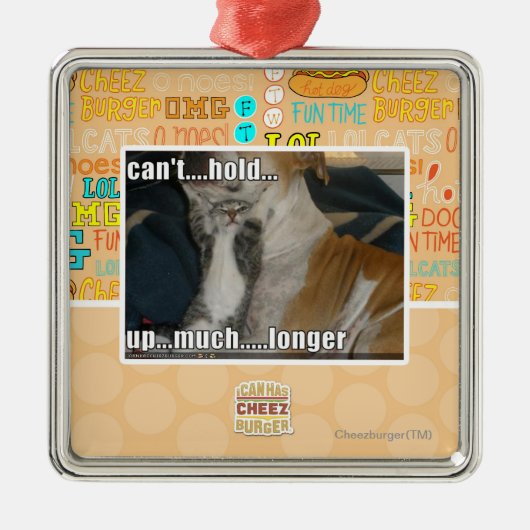 Ornement Métallique Ne peut pas supporter beaucoup plus longtemps (Devant)