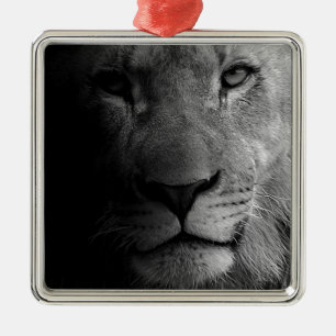 Ornement Métallique Noir Blanc Motivation Leadership Lion Portrait