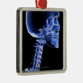 Ornement Métallique Os de la tête et du cou (Droite)