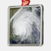 Ornement Métallique Ouragan Ivan (Gauche)