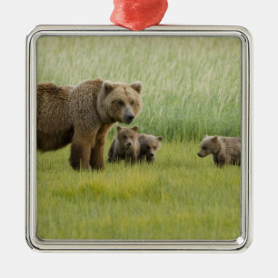 Ornement Métallique Ours brun d'Alaska femelle et trois oursons, Ursus