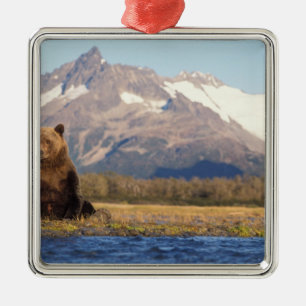 Ornement Métallique ours brun, Ursus arctos, grizzly, Ursus