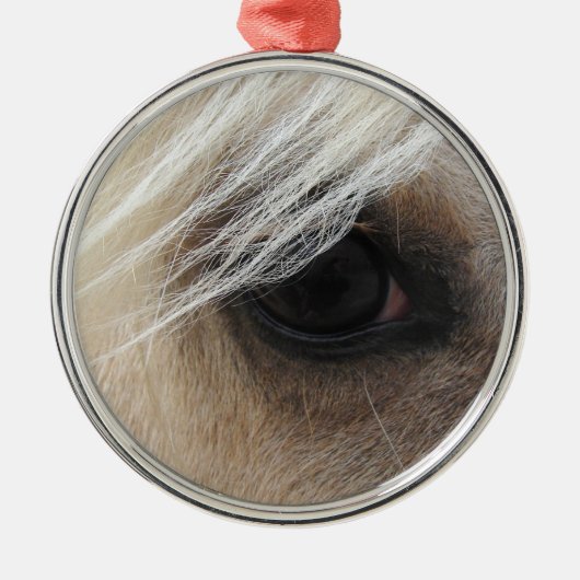 Ornement Métallique Palomino (Devant)