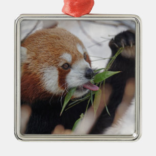 Ornement Métallique panda rouge impression animale mignon