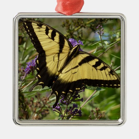 Ornement Métallique Papillon à queue d'aronde sur Buddleia (Devant)